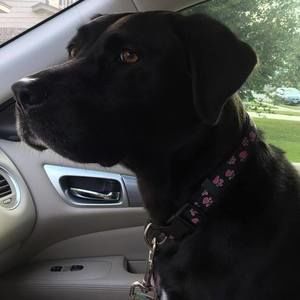 Meet your Posher, Janie