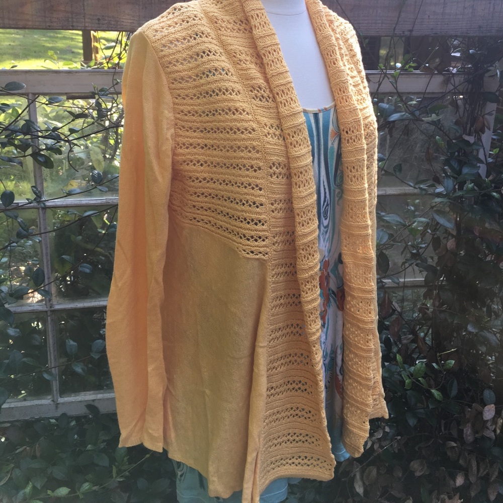 Anthropologie Angel of the North cardigan