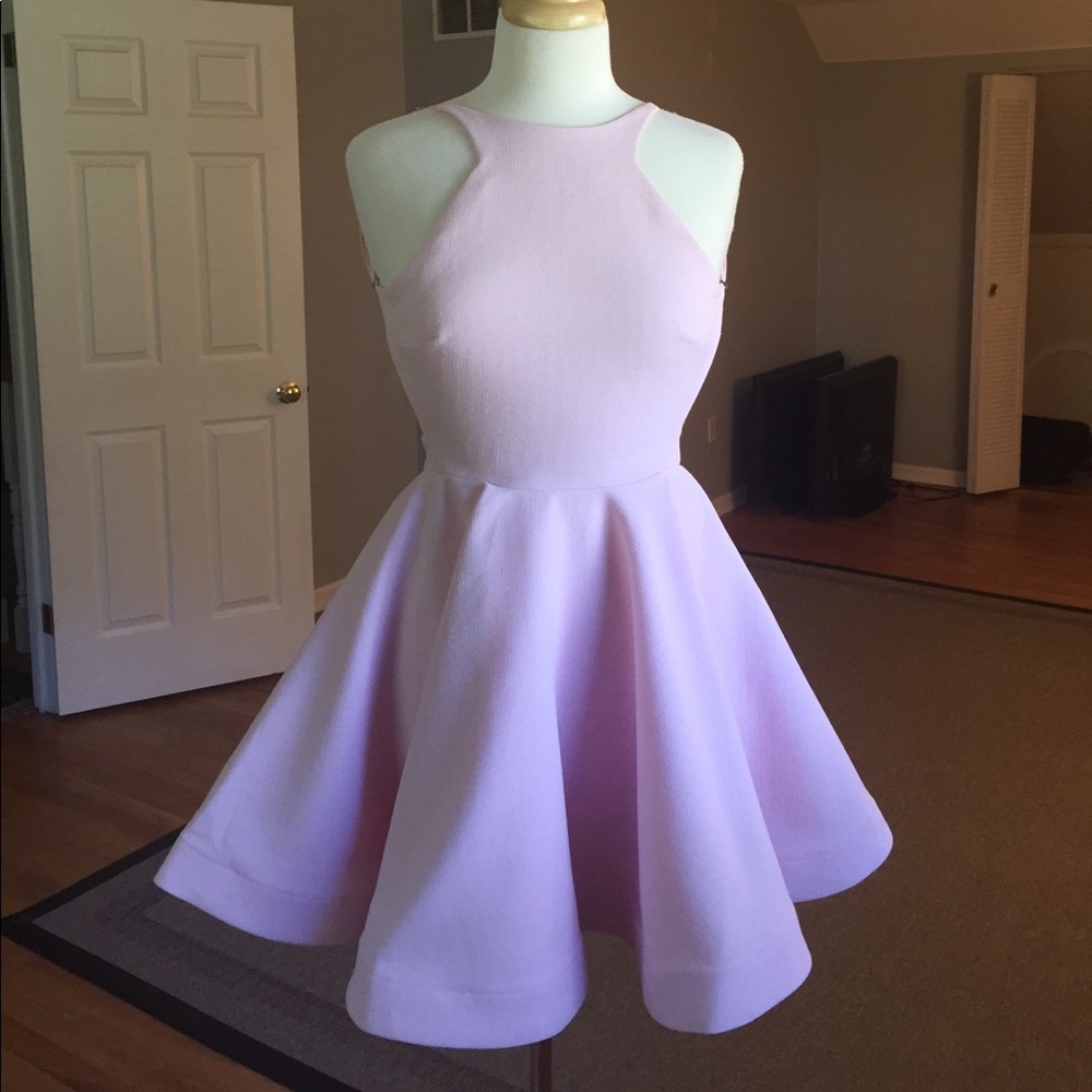 Pink Ballerina Fit and Flare Mini