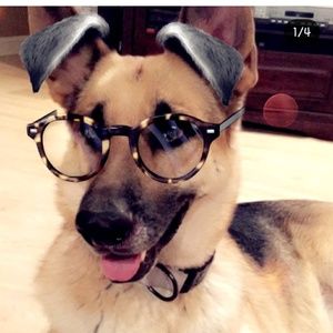 Meet your Posher, Ally