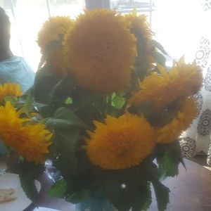 Meet your Posher, Ramona