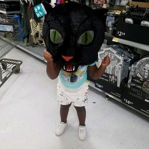 Meet your Posher, Harrison