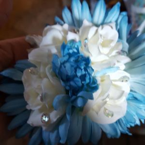 Meet your Posher, Ellen