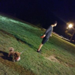 Meet your Posher, David