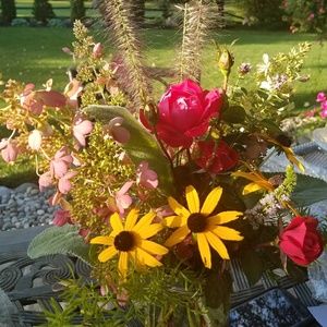 Meet your Posher, Tamara