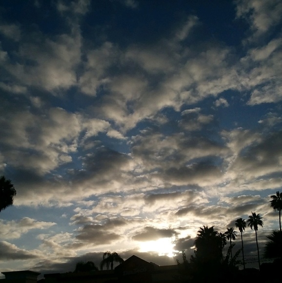 Meet your Posher, Chih-wen - Picture 1 of 1