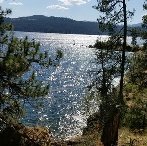 Meet your Posher, Leila