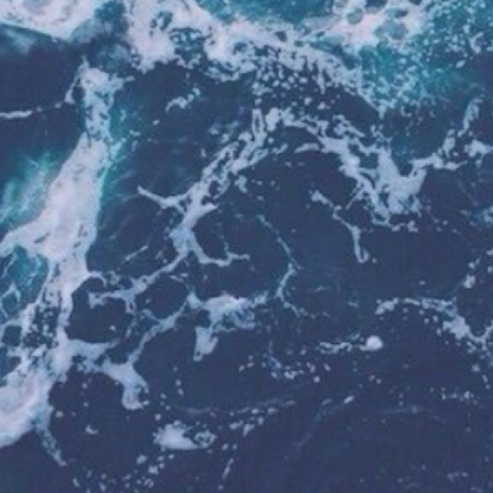 Meet your Posher, Fatima