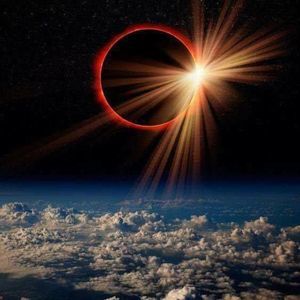 Meet your Posher, Felicia