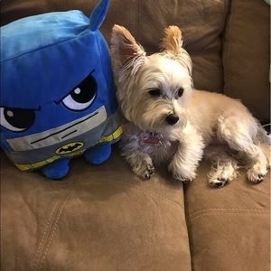 Meet your Posher, Diane