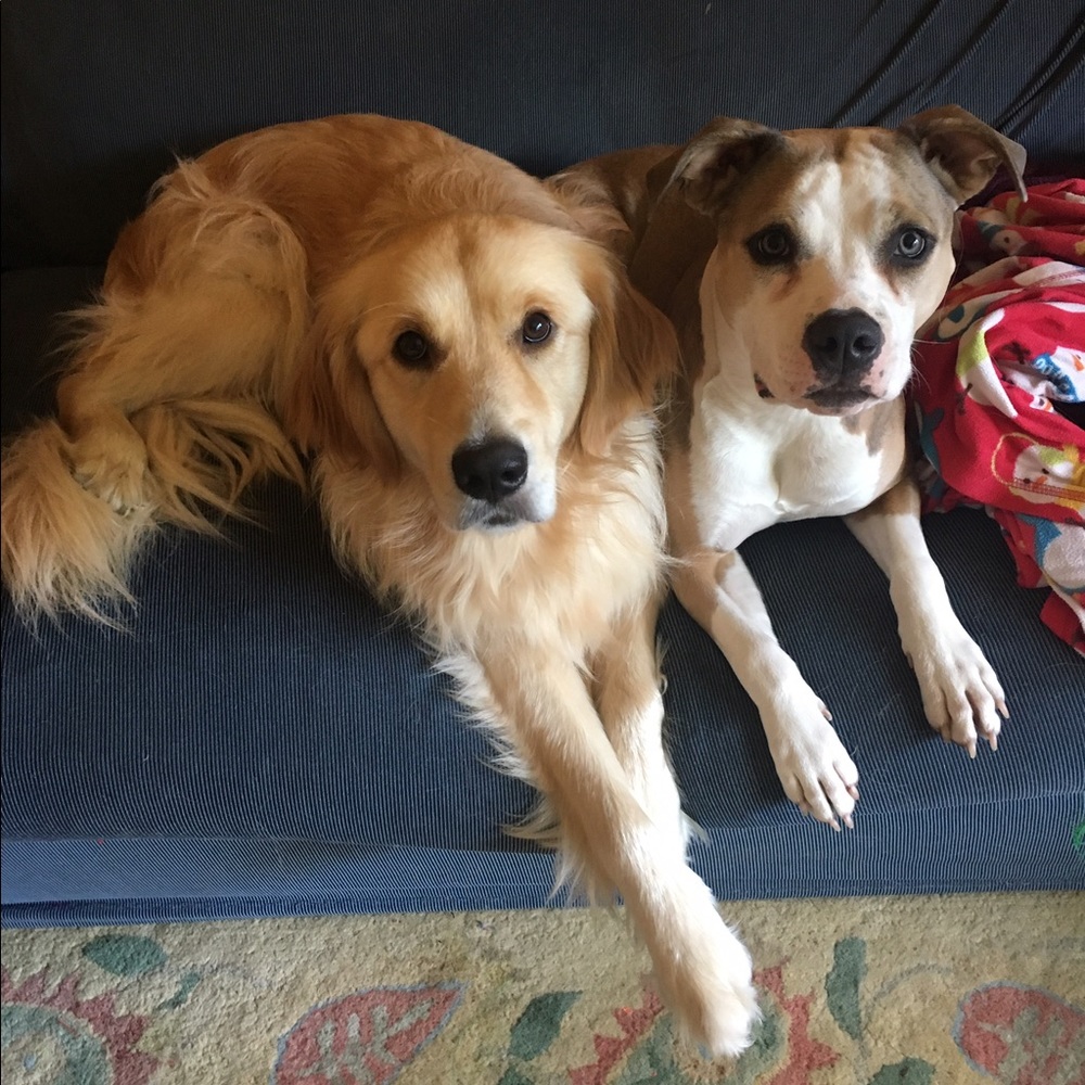 Meet your Posher, Sue