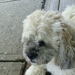 Meet your Posher, Roselynn