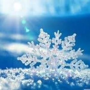 Meet your Posher, Tami