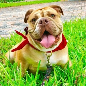 Meet your Posher, Alfonso