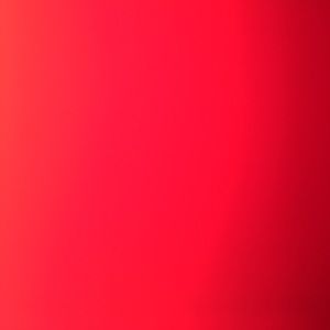 Meet your Posher, Bryce