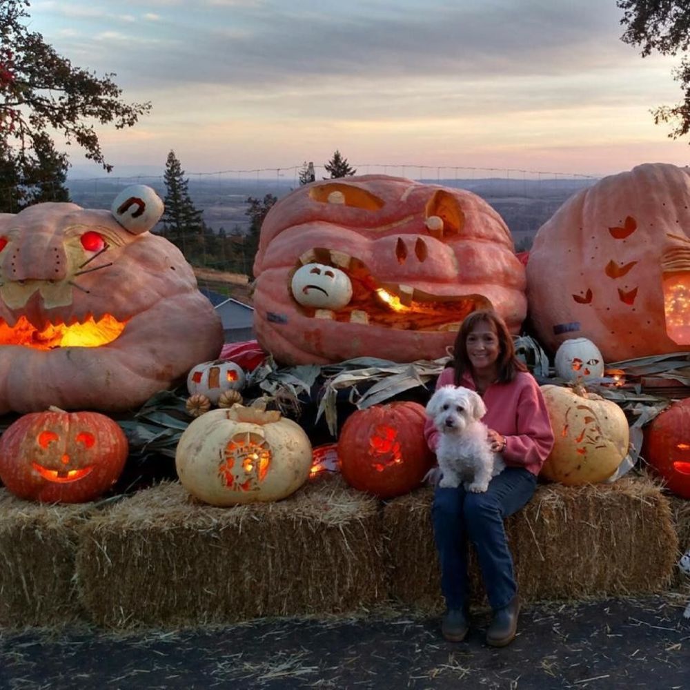 Meet your Posher, Sandy