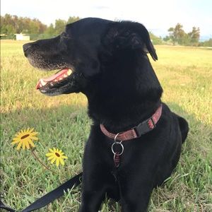 Meet your Posher, Katja