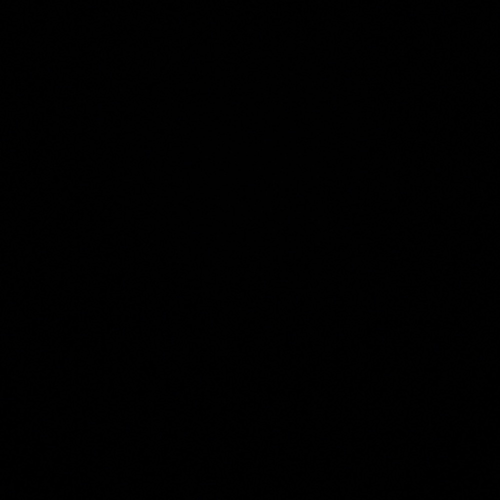 Meet your Posher, Chelsy