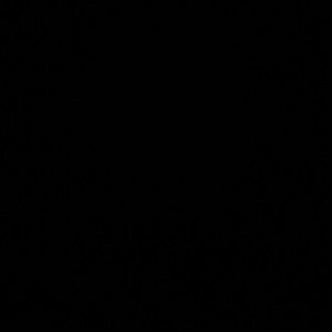 Meet your Posher, Chelsy