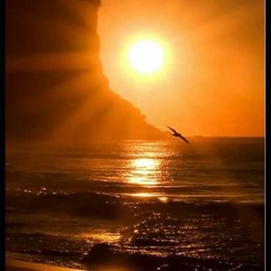 Meet your Posher, Vicki