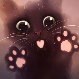 Meet your Posher, Kat