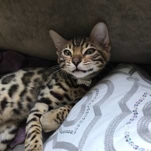 Meet your Posher, Heather