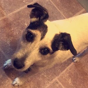 Meet your Posher, Cara