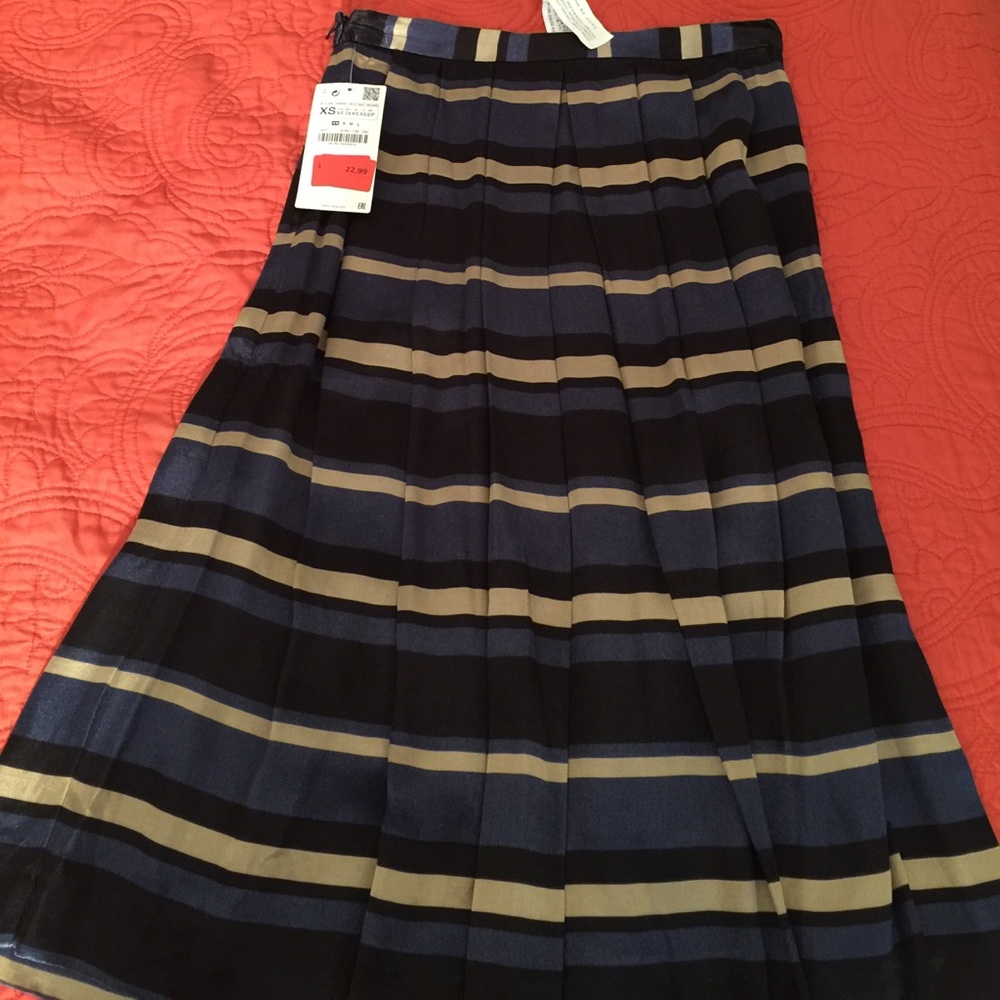 Zara skirt