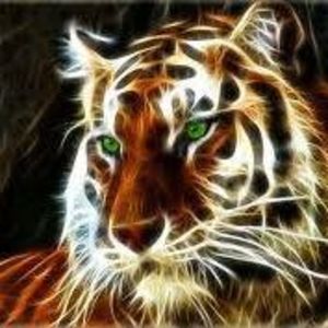 Meet your Posher, Alexander