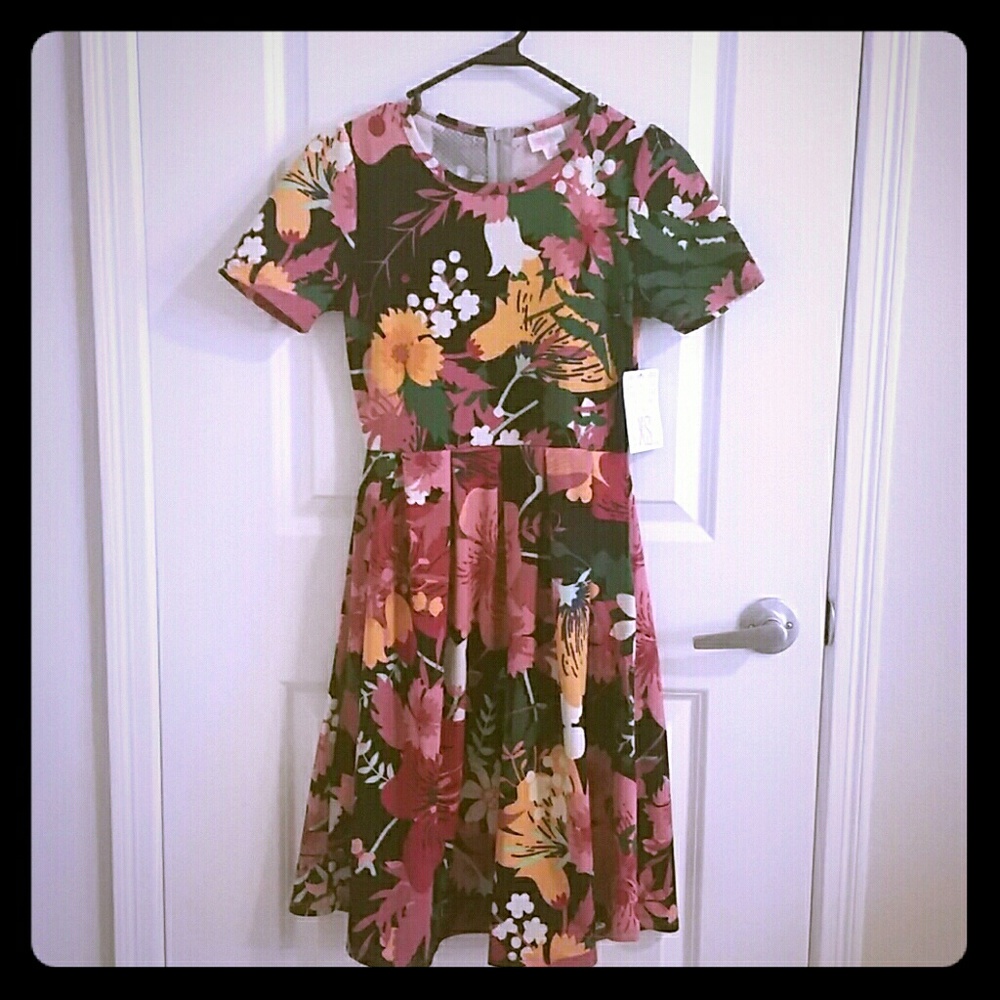 NWT LLR XS Amelia