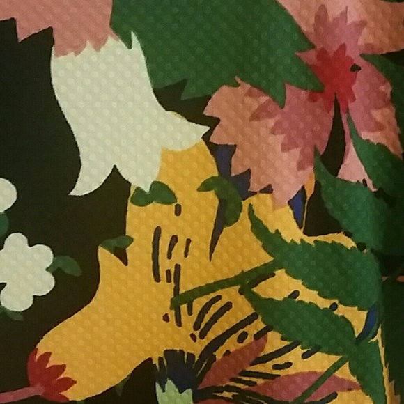 NWT LLR XS Amelia - Picture 2 of 3