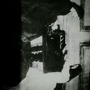 Meet your Posher, Darcie