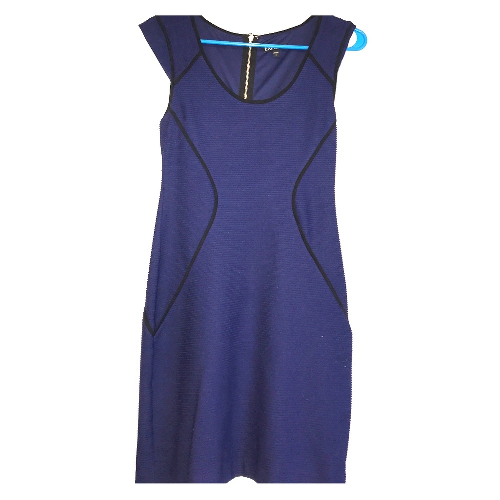 Express Zipper Back Mini Dress