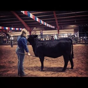 Meet your Posher, Victoria