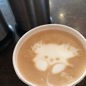 Meet your Posher, Jose