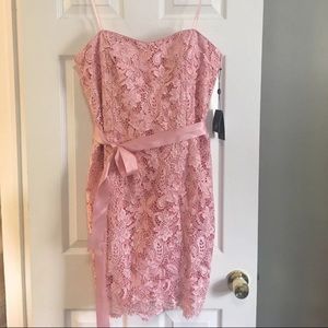 Adrianna Papel Pink Lace Dress Size 16