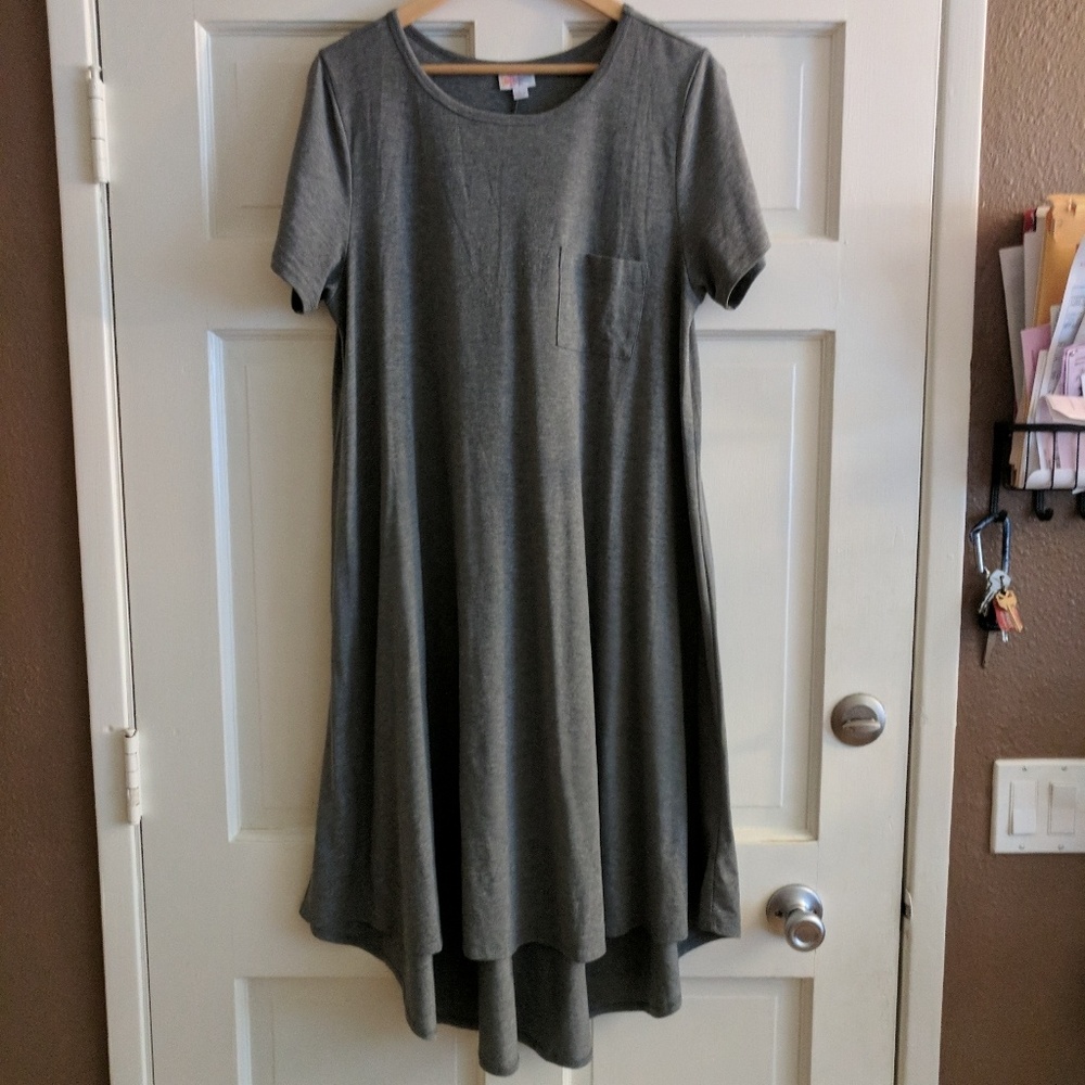 Carly Dress short sleeved lularoe