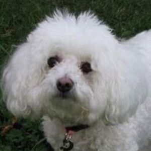 Meet your Posher, Bianca