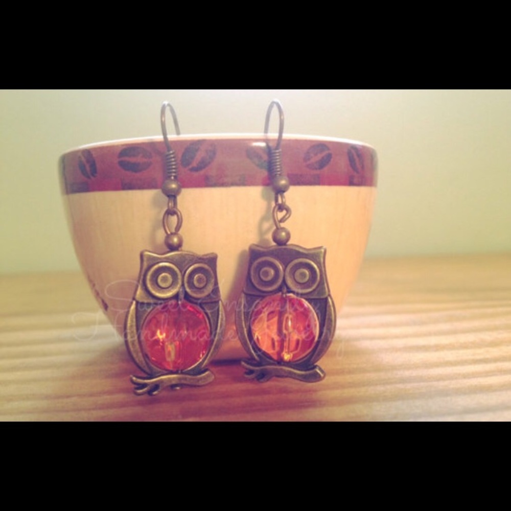 Owl earrings NWOT
