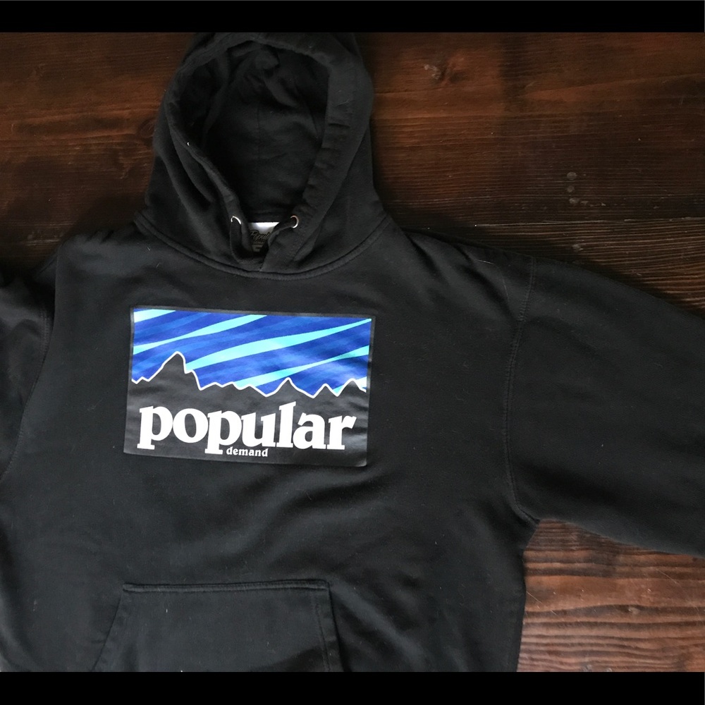 Popular Demand Hoodie -  Patagonia Logo - Large