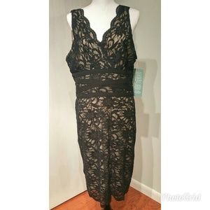 Gorgeous Ronni Nicole Black Lace Size 14 Dress Gorgeous Ronni Nicole Black Lace Size 14 Dress