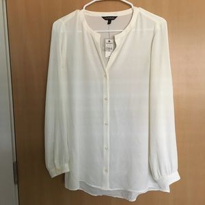 Express sheer blouse