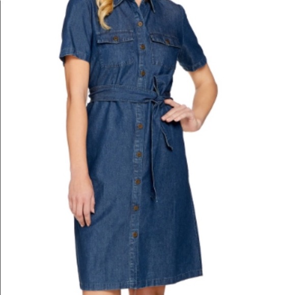chico denim dress