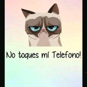 Meet your Posher, Lopez