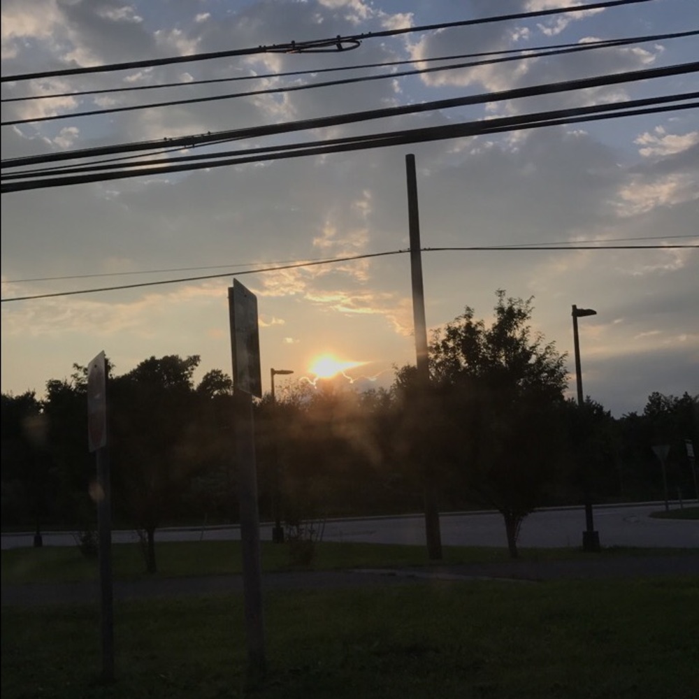 Meet your Posher, Grace