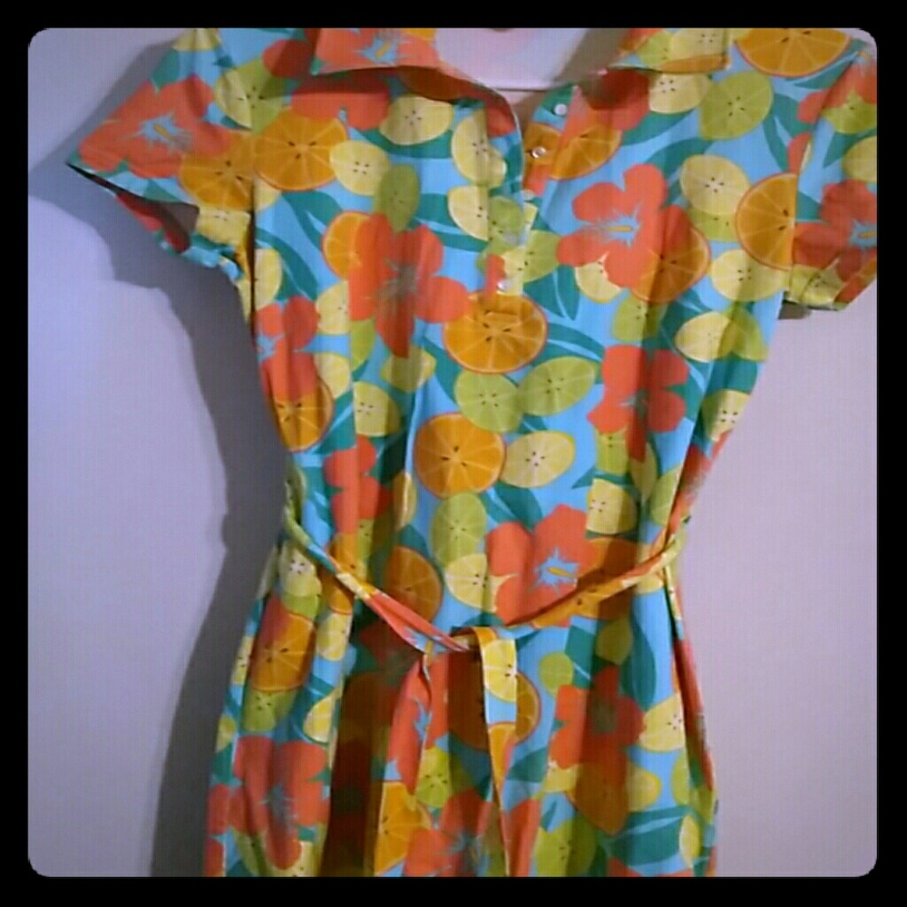 Talbots shirt dress