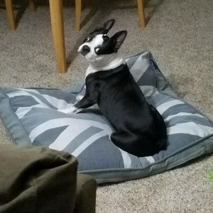 Meet your Posher, Vicki