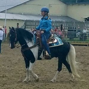 Meet your Posher, Addison