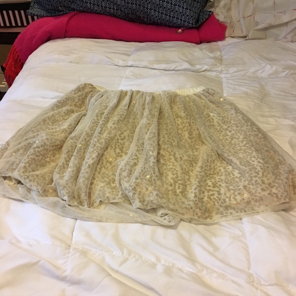 Gorgeous hold sequined skirt