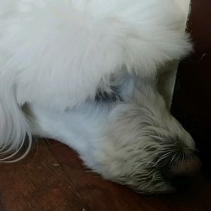 Meet your Posher, Deborah